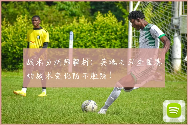 战术分析师解析:英魂之刃全国赛的战术变化防不胜防!
