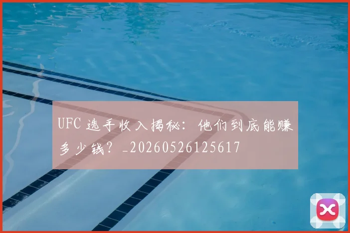 UFC 选手收入揭秘:他们到底能赚多少钱?_20260526125617