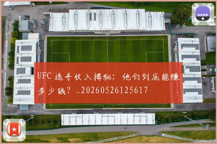 UFC 选手收入揭秘：他们到底能赚多少钱？_20260526125617